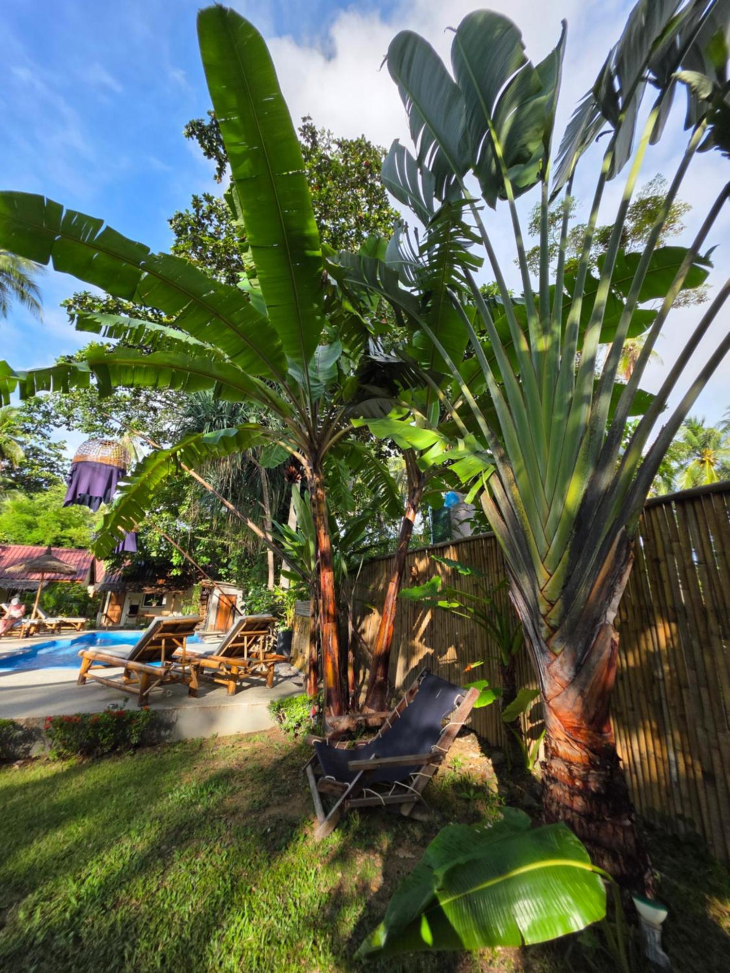 The Mellow Mango Ko Lanta Exterior foto